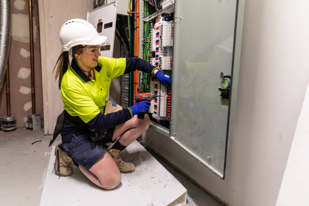 Best Affordable Electrician  in Hastings, MI