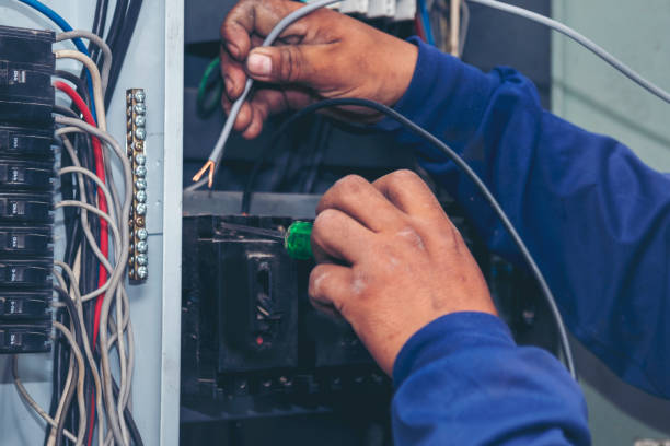 Best Industrial Electrical Services  in Hastings, MI
