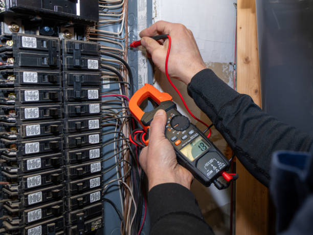 Best Electric Panel Repair  in Hastings, MI